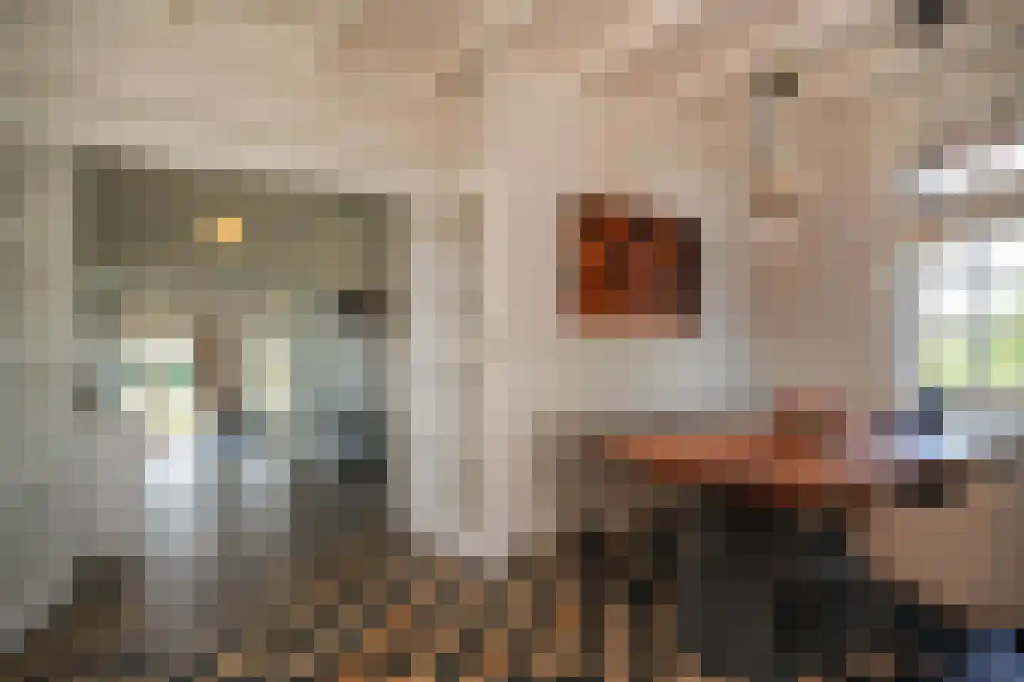 Kornedijk 22 Buurmalsen thumbnail 22