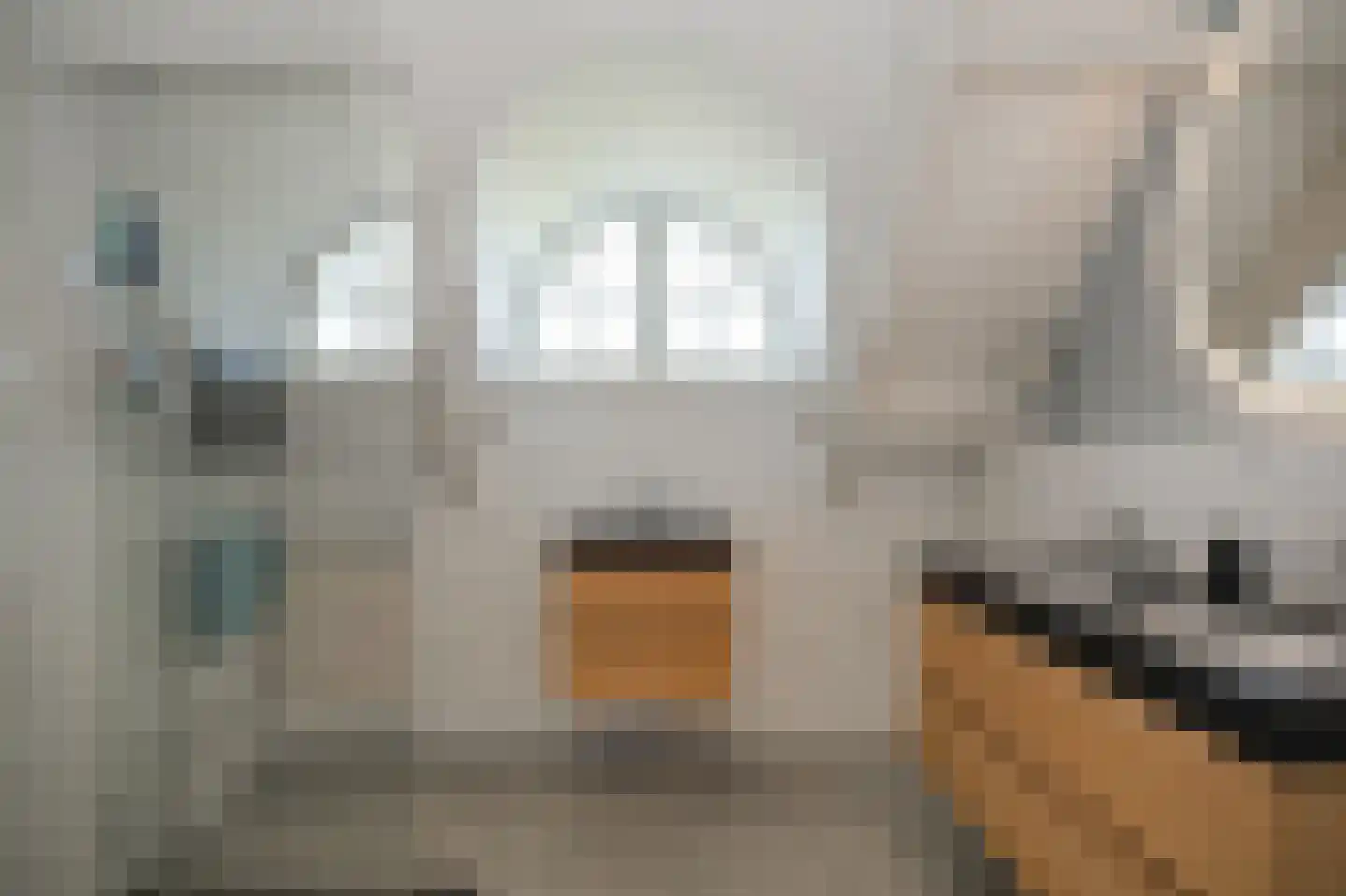 Kornedijk 22 Buurmalsen thumbnail 31