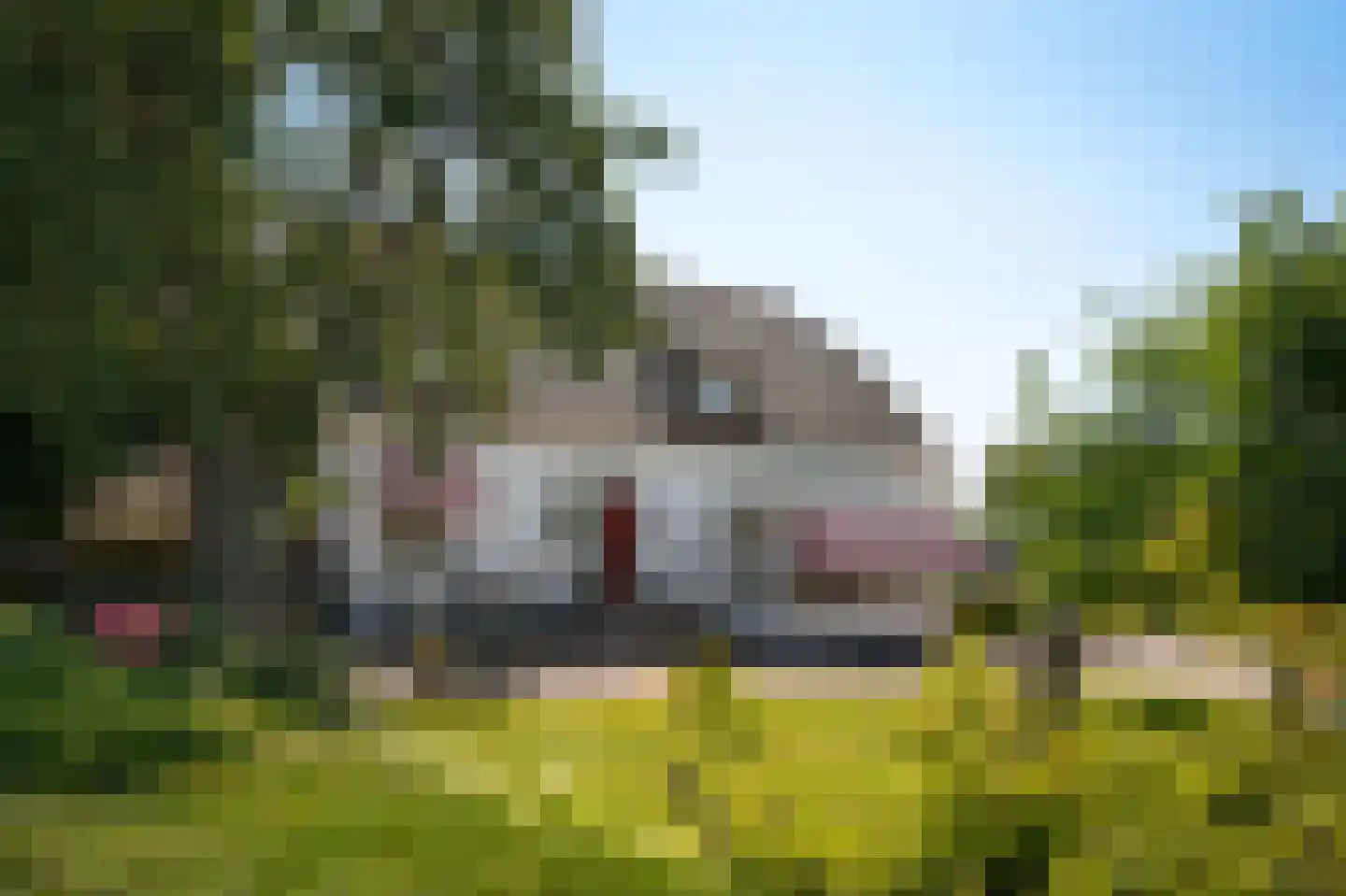 Kornedijk 22 Buurmalsen thumbnail 4