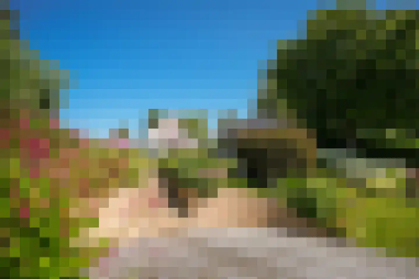 Kornedijk 22 Buurmalsen thumbnail 44