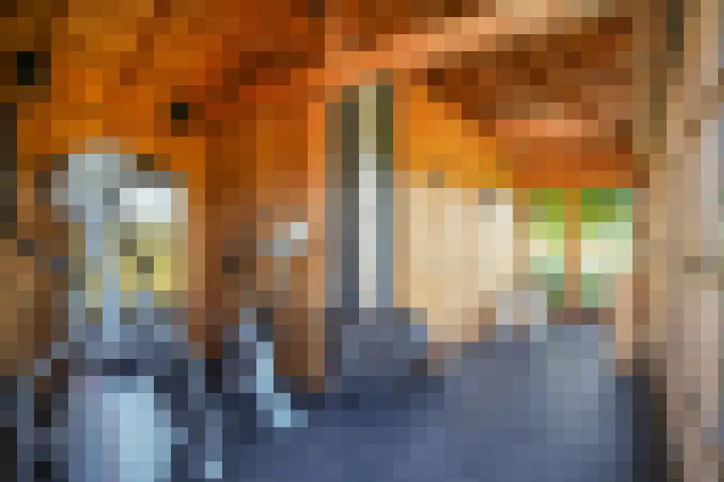 Kornedijk 22 Buurmalsen thumbnail 47