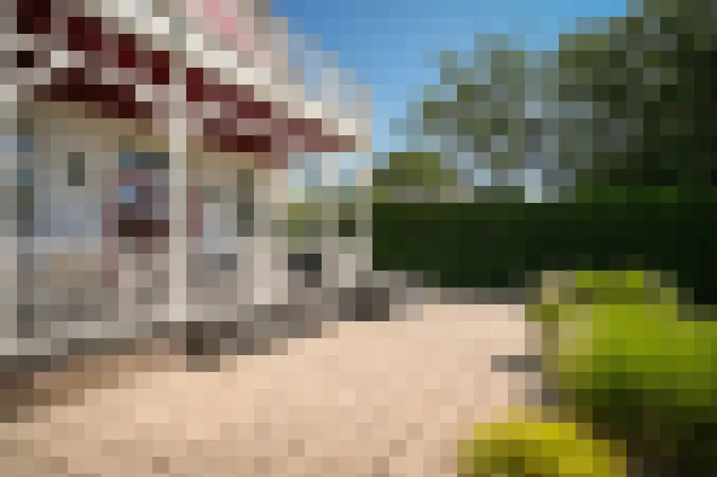 Kornedijk 22 Buurmalsen thumbnail 50