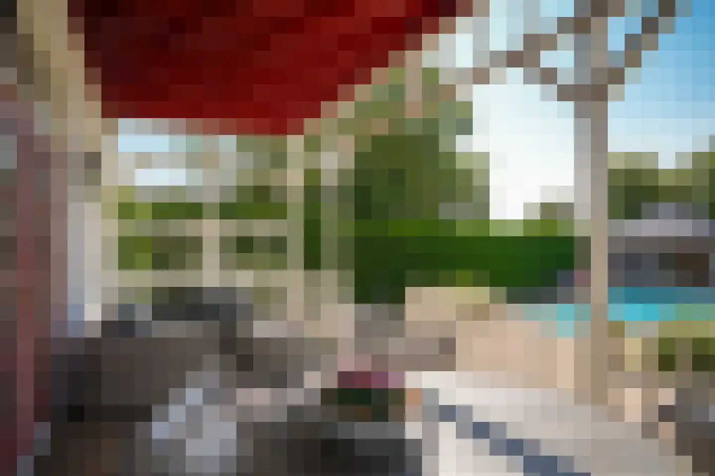 Kornedijk 22 Buurmalsen thumbnail 51