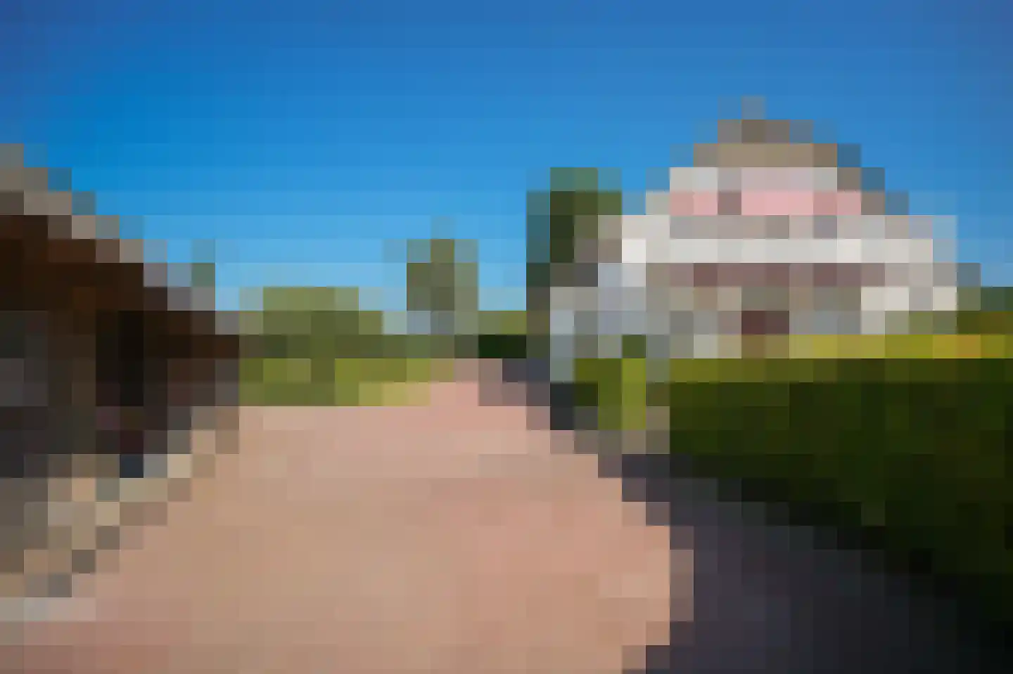 Kornedijk 22 Buurmalsen thumbnail 53