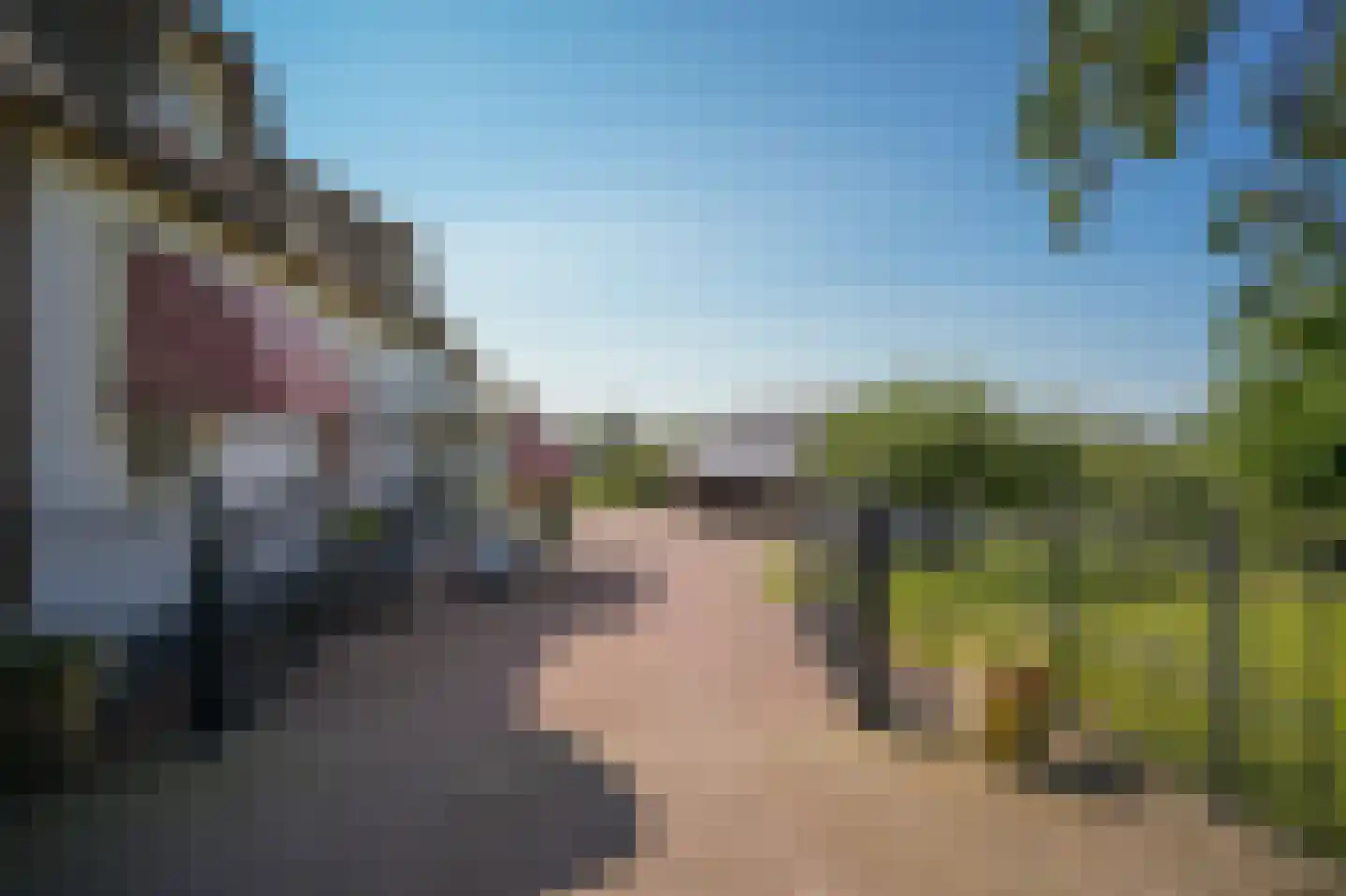 Kornedijk 22 Buurmalsen thumbnail 56