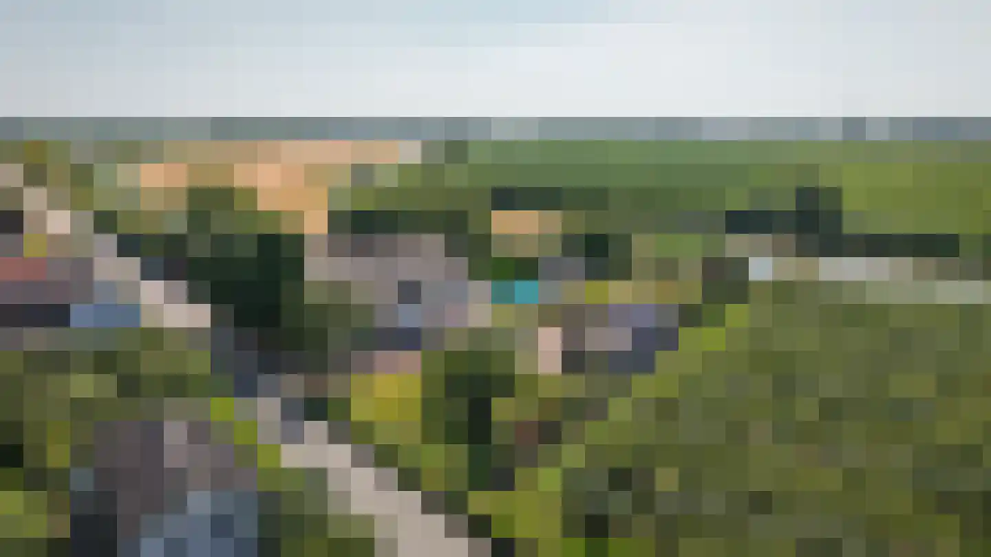 Kornedijk 22 Buurmalsen thumbnail 57