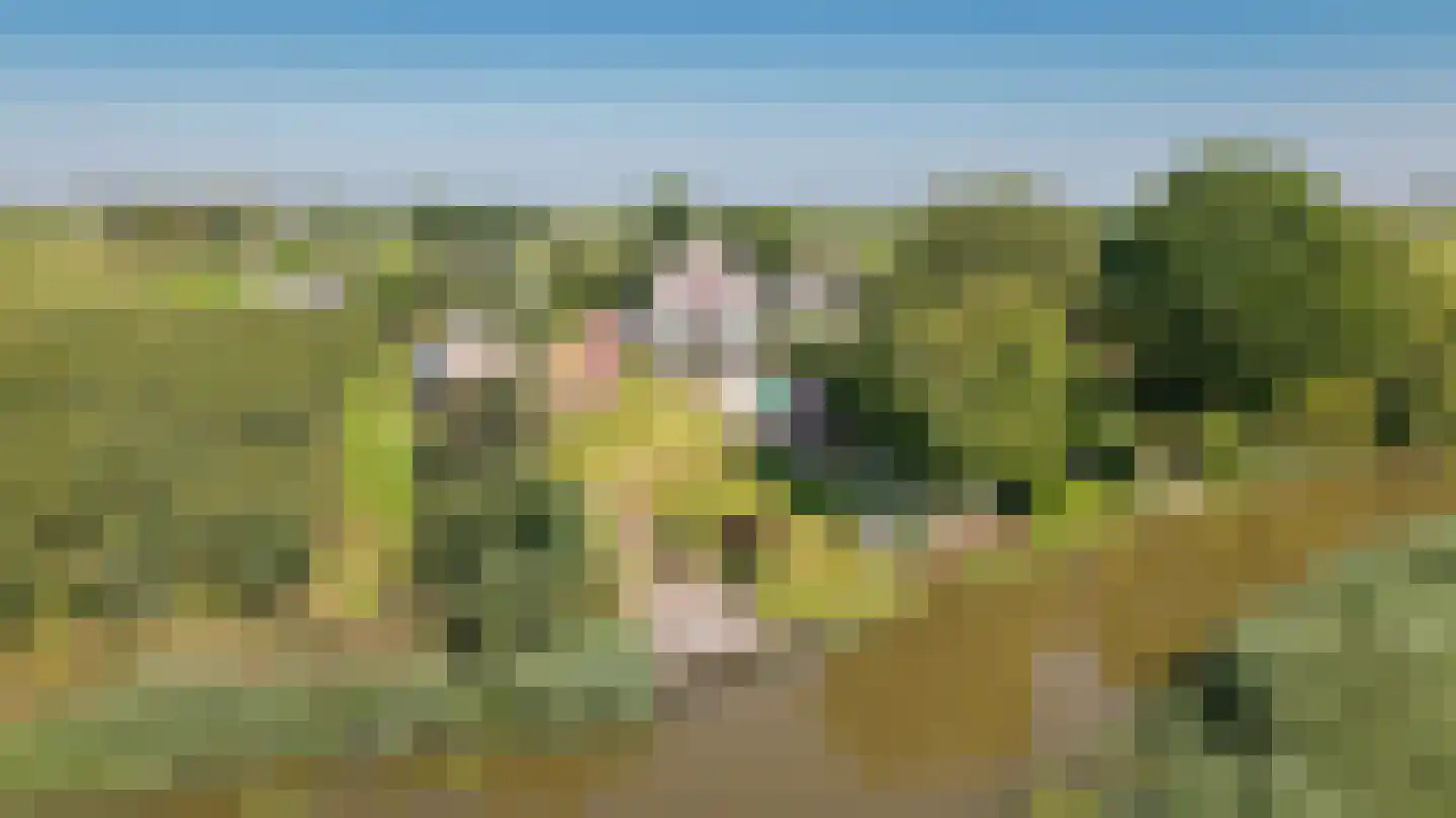 Kornedijk 22 Buurmalsen thumbnail 58
