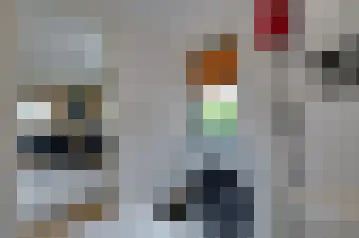 Kornelis Joustrastraat 1 Appelscha thumbnail 13