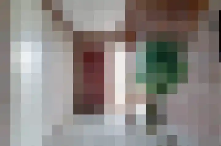 Kornelis Joustrastraat 1 Appelscha thumbnail 16