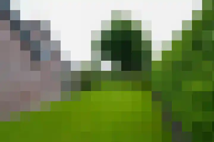 Kornelis Joustrastraat 1 Appelscha thumbnail 30