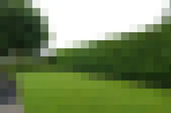 Kornelis Joustrastraat 1 Appelscha thumbnail 31