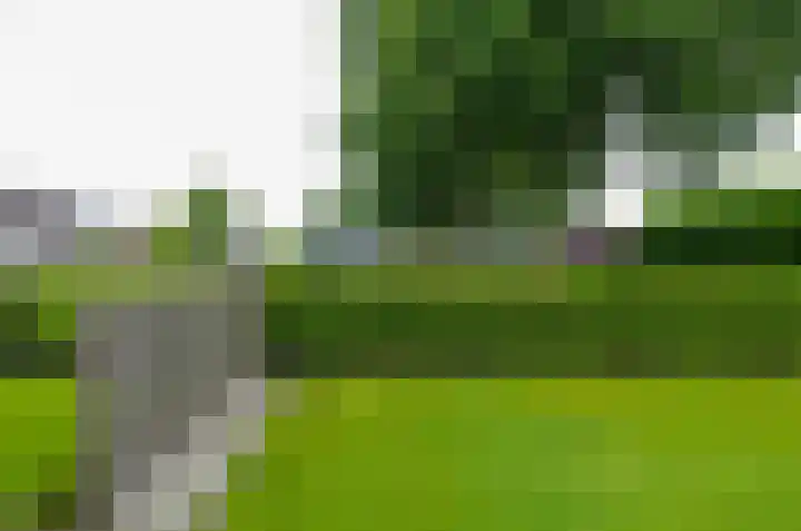 Kornelis Joustrastraat 1 Appelscha thumbnail 32