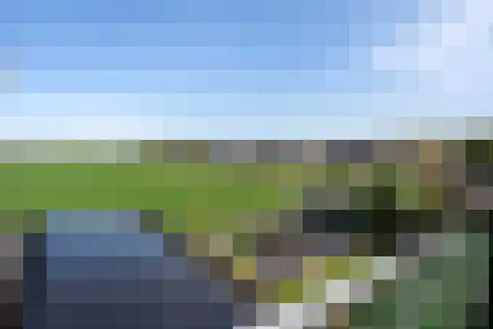 Kornelis Joustrastraat 28 Appelscha thumbnail 21