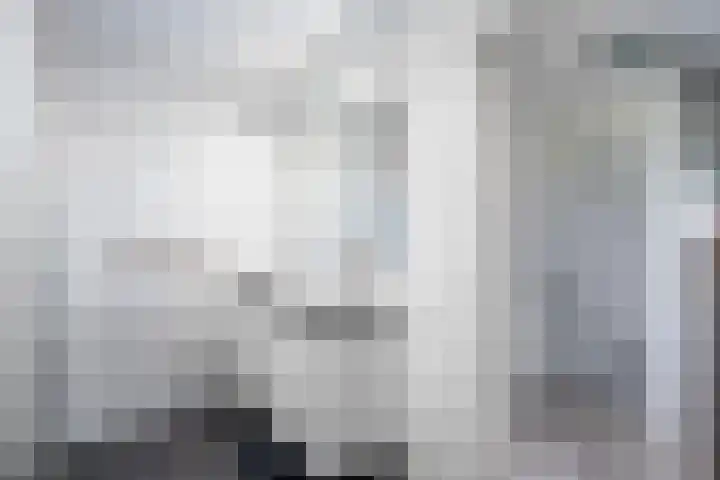 Kornelis Joustrastraat 28 Appelscha thumbnail 24