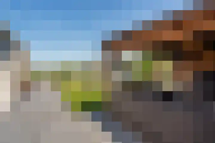 Kornelis Joustrastraat 28 Appelscha thumbnail 29