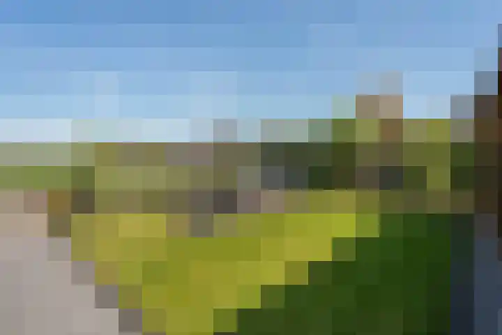 Kornelis Joustrastraat 28 Appelscha thumbnail 30