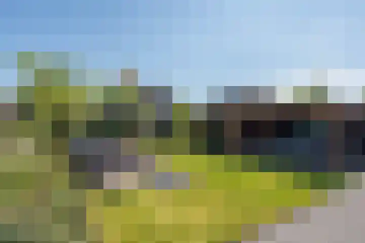 Kornelis Joustrastraat 28 Appelscha thumbnail 31