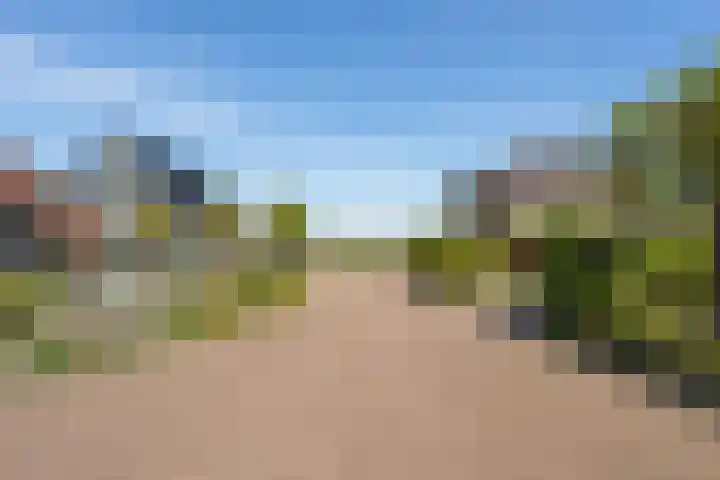 Kornelis Joustrastraat 28 Appelscha thumbnail 39