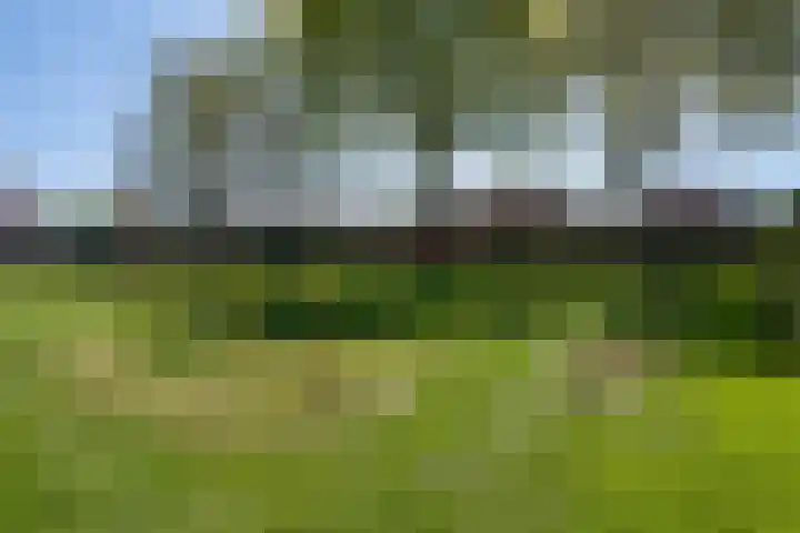 Kornelis Joustrastraat 28 Appelscha thumbnail 40