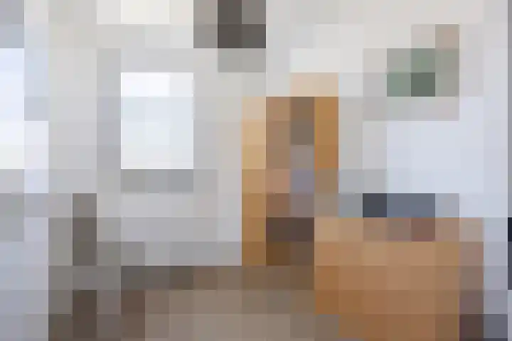 Kornelis ter Laanstraat 25 Delfzijl thumbnail 21