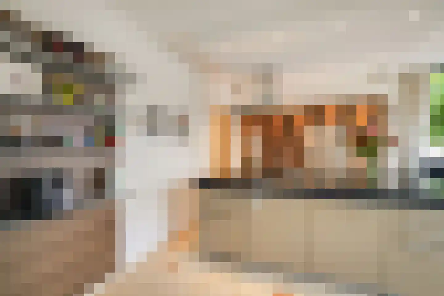 Kornelis van Tollaan 16 Rotterdam thumbnail 11