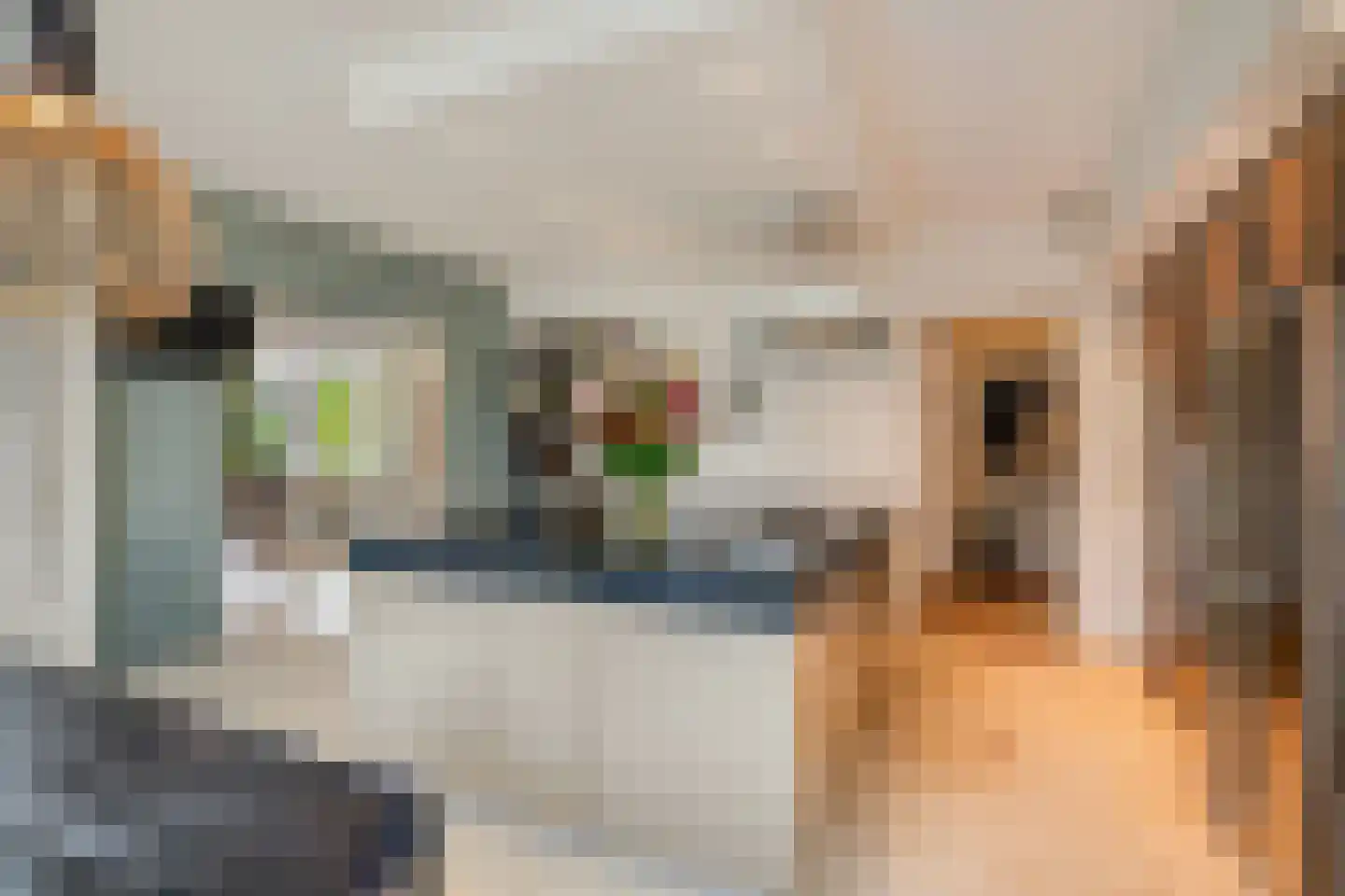 Kornelis van Tollaan 16 Rotterdam thumbnail 13