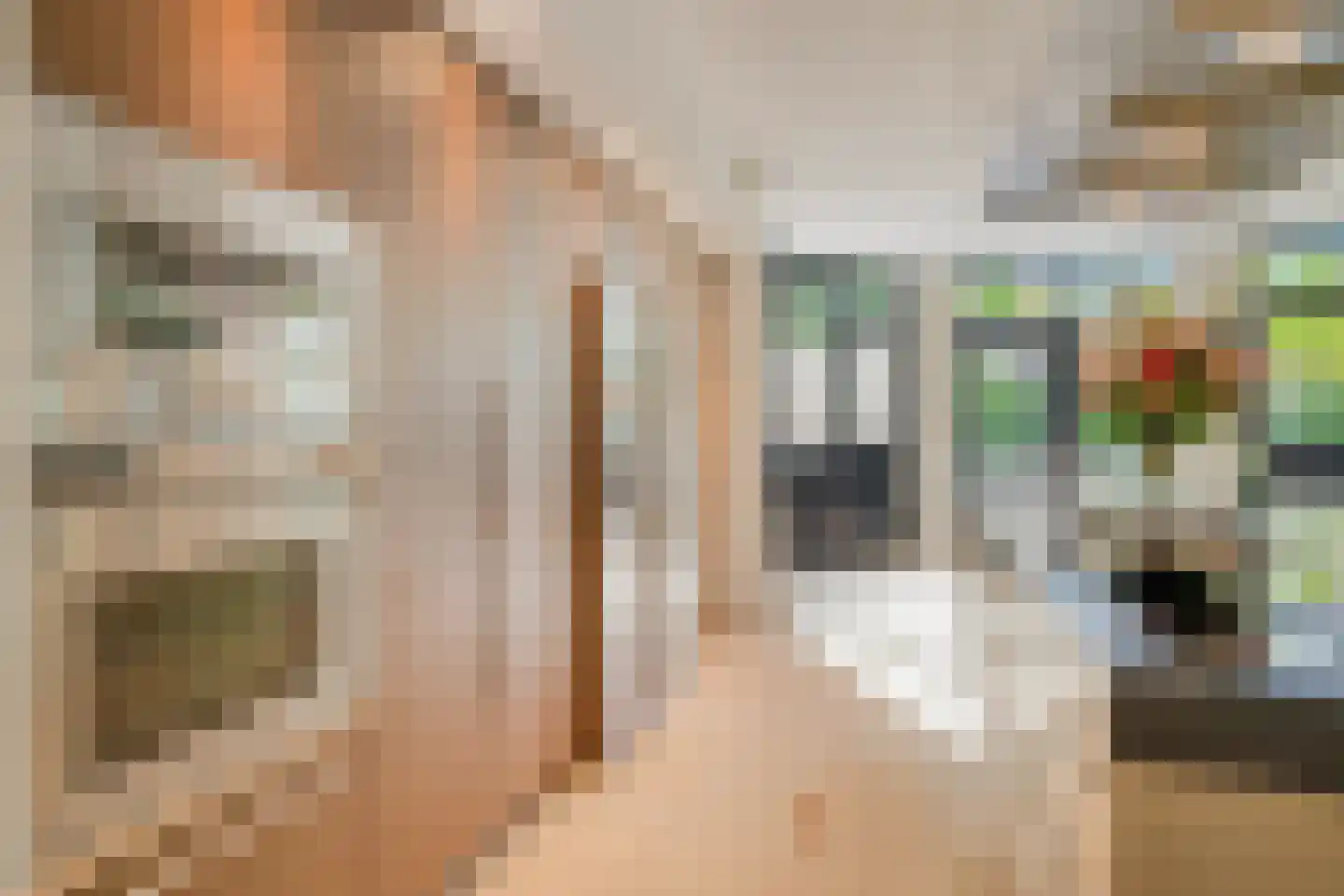 Kornelis van Tollaan 16 Rotterdam thumbnail 14