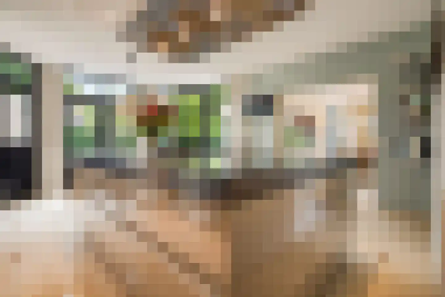 Kornelis van Tollaan 16 Rotterdam thumbnail 16