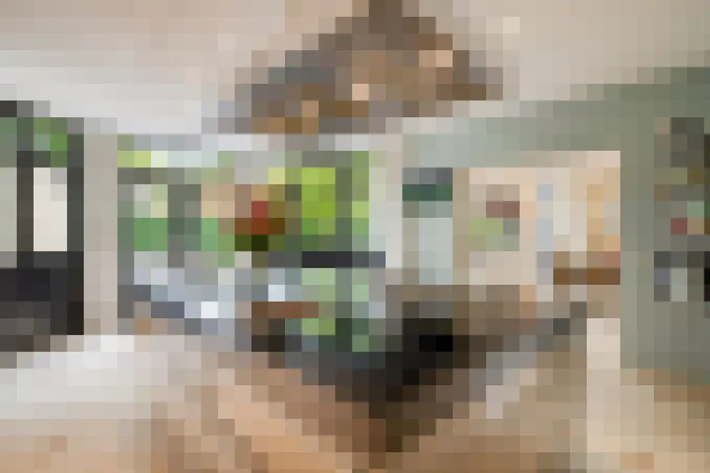 Kornelis van Tollaan 16 Rotterdam thumbnail 17