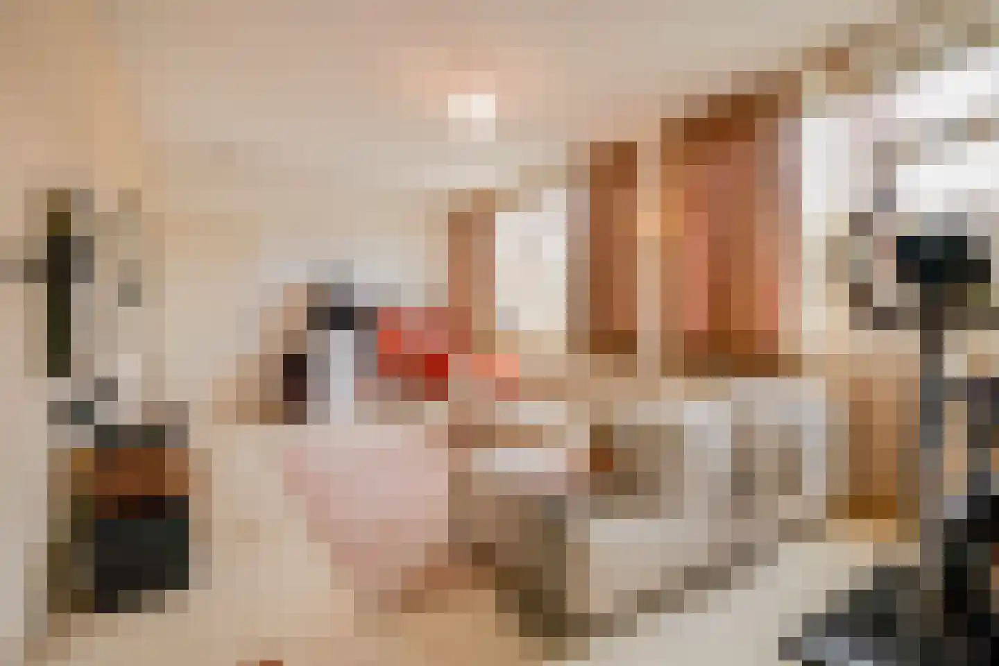 Kornelis van Tollaan 16 Rotterdam thumbnail 21