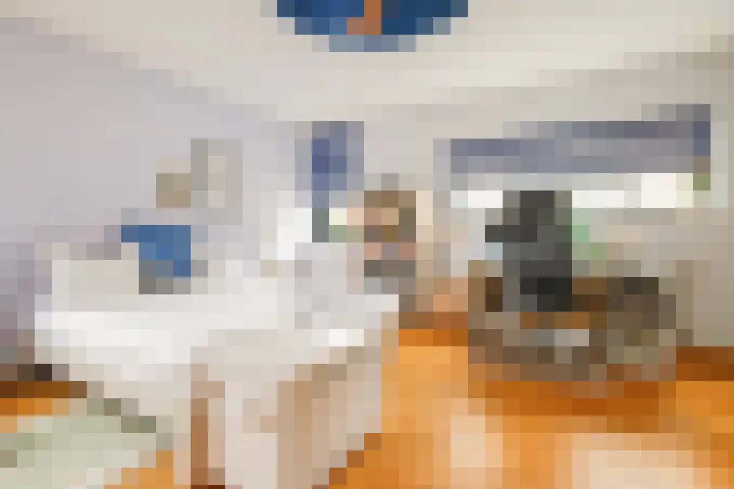 Kornelis van Tollaan 16 Rotterdam thumbnail 32