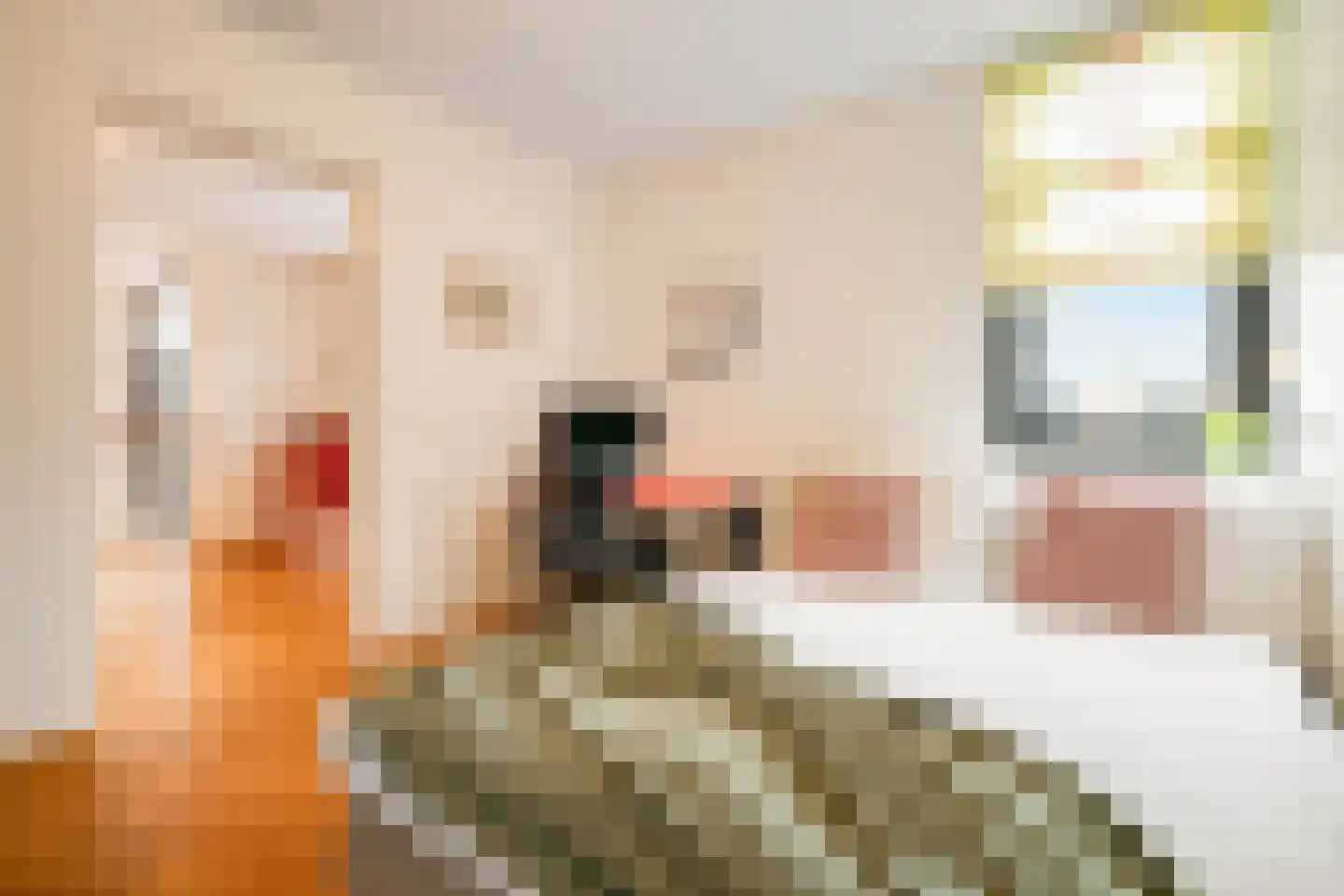 Kornelis van Tollaan 16 Rotterdam thumbnail 47