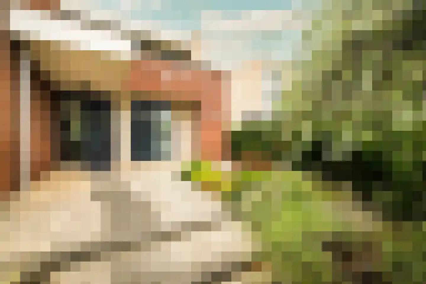 Kornelis van Tollaan 16 Rotterdam thumbnail 5