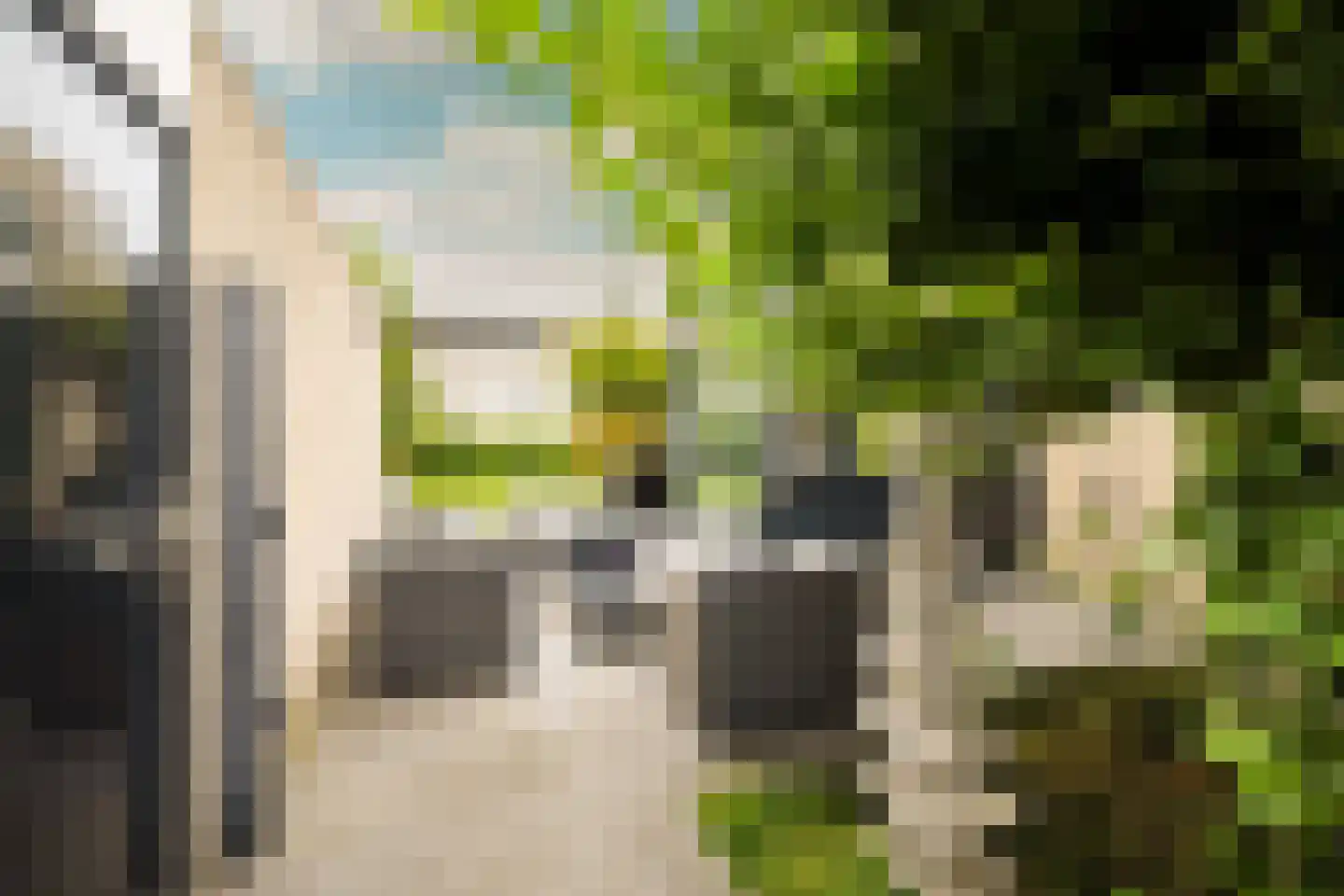 Kornelis van Tollaan 16 Rotterdam thumbnail 59