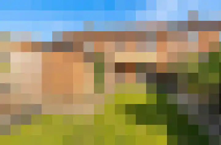 Kornelis van Wijnenstraat 20 Rhenoy thumbnail 18