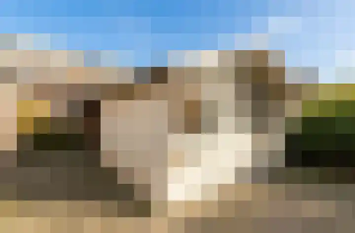 Kornelis van Wijnenstraat 20 Rhenoy thumbnail 21