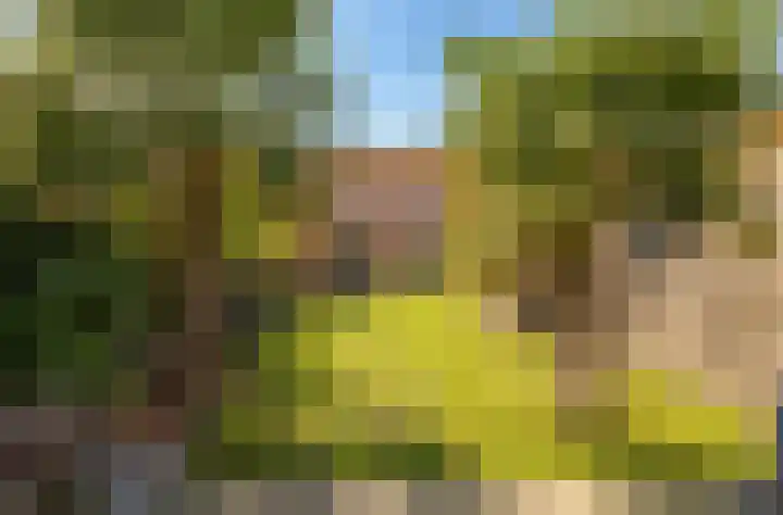Kornelis van Wijnenstraat 20 Rhenoy thumbnail 22