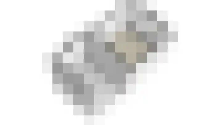 Kornelis van Wijnenstraat 20 Rhenoy thumbnail 37