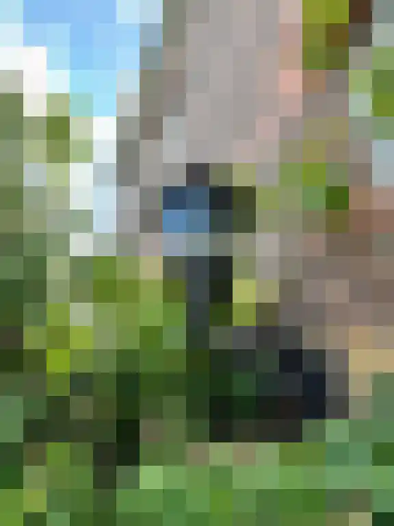 Körnerstraat 22 Wijnandsrade thumbnail 5