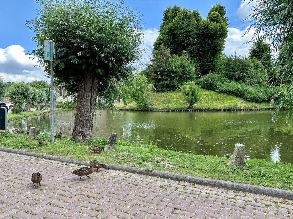 Körnerstraat 22 Wijnandsrade thumbnail 6