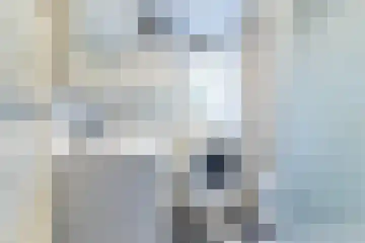 Kornet 18 Soest thumbnail 10