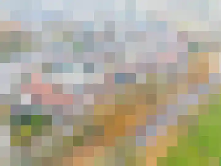 Kornet 18 Soest thumbnail 24