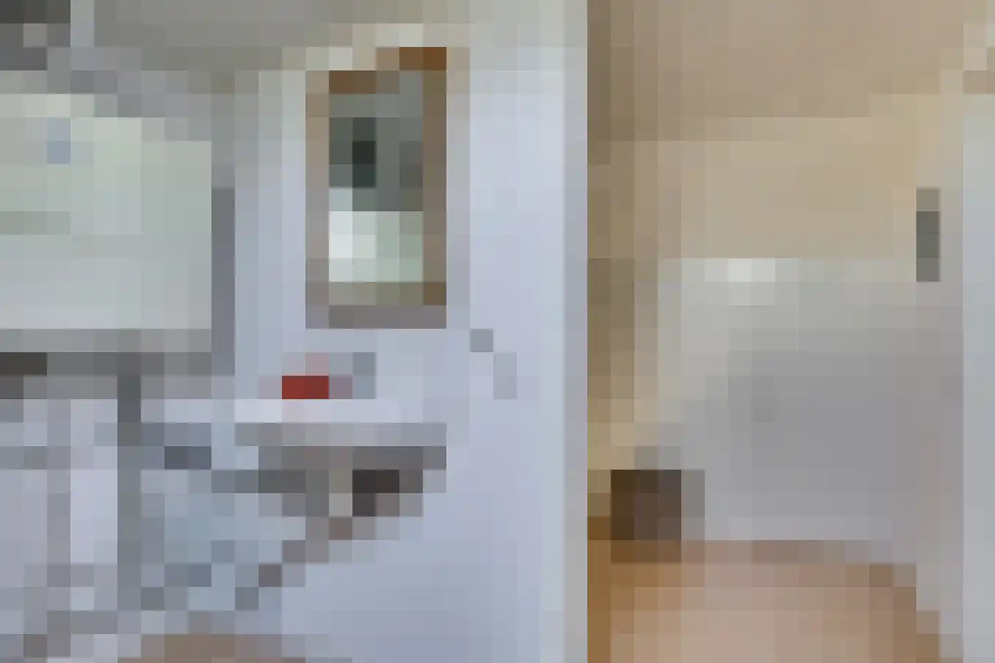 Kornet 3 Hilvarenbeek thumbnail 45