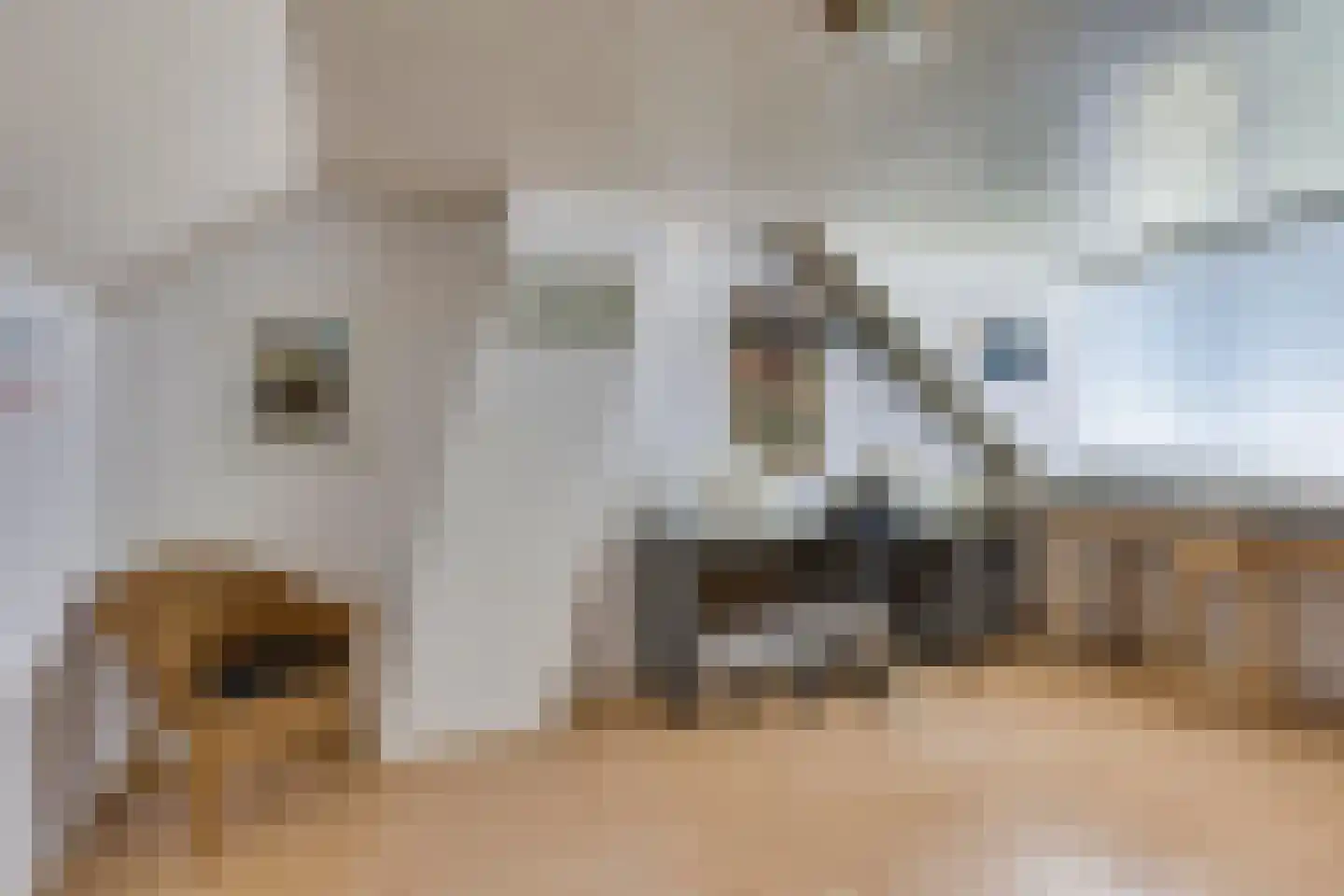 Kornet 3 Hilvarenbeek thumbnail 46