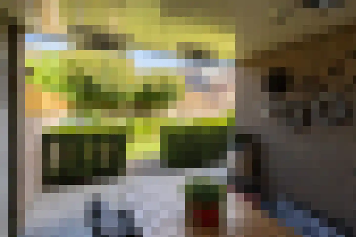 Kornet 3 Hilvarenbeek thumbnail 50