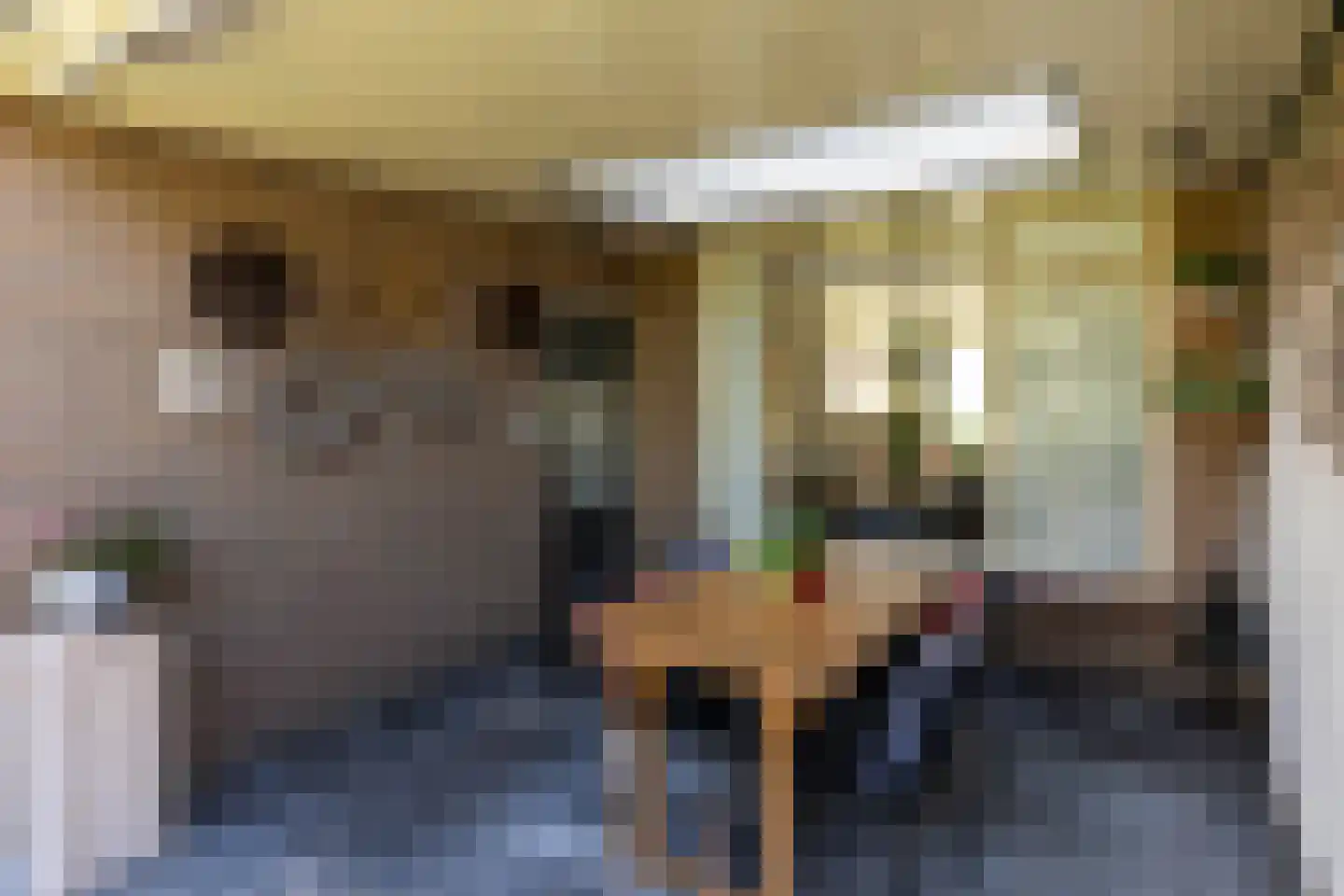 Kornet 3 Hilvarenbeek thumbnail 51