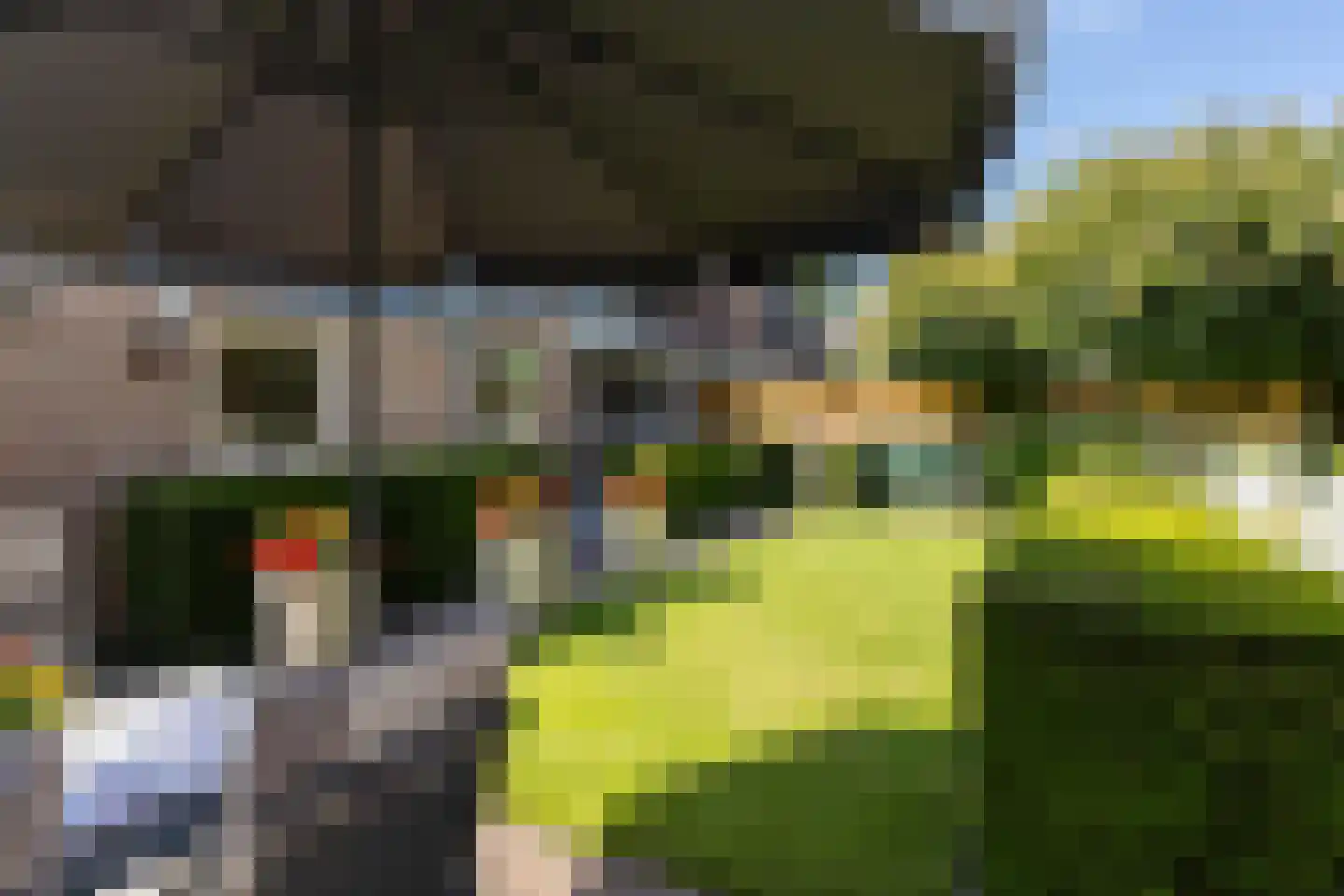 Kornet 3 Hilvarenbeek thumbnail 56
