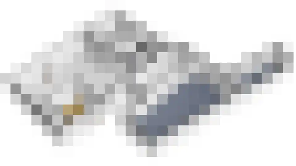 Kornet 3 Hilvarenbeek thumbnail 71