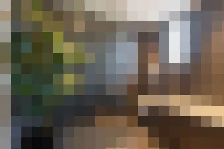 Kornet 32 Soest thumbnail 13