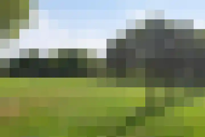 Kornet 32 Soest thumbnail 20